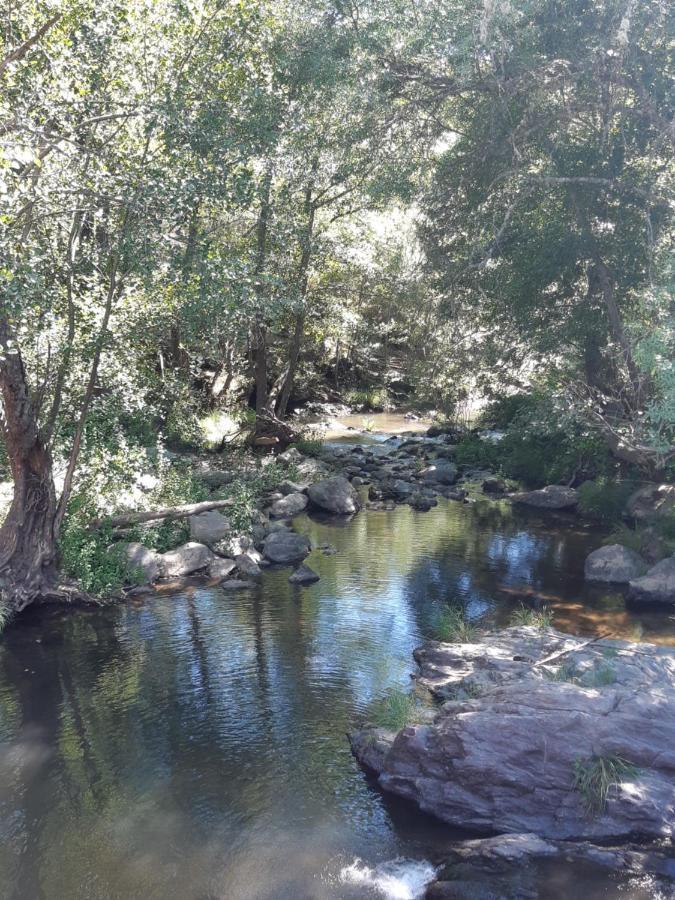 ArcasQuinta Da Caida别墅 外观 照片